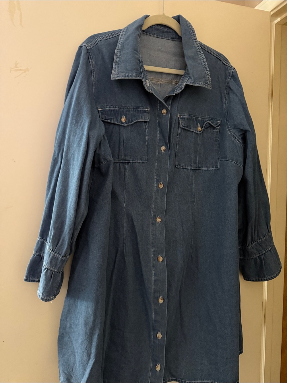 SHEIN Blue Denim Button-Front Jacket